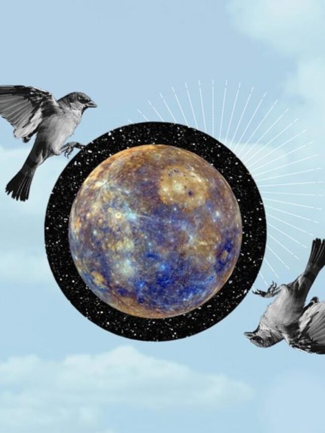 July 24, 2023 Astrological Forecast How Will Mercury's Retrograde Affect Each Zodiac Sign (2)